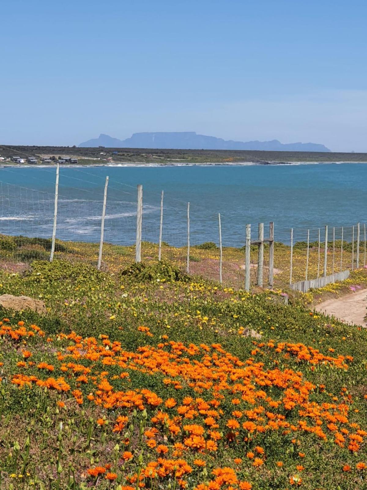 West Coast Short Term Accomodation Grotto Bay Exterior foto
